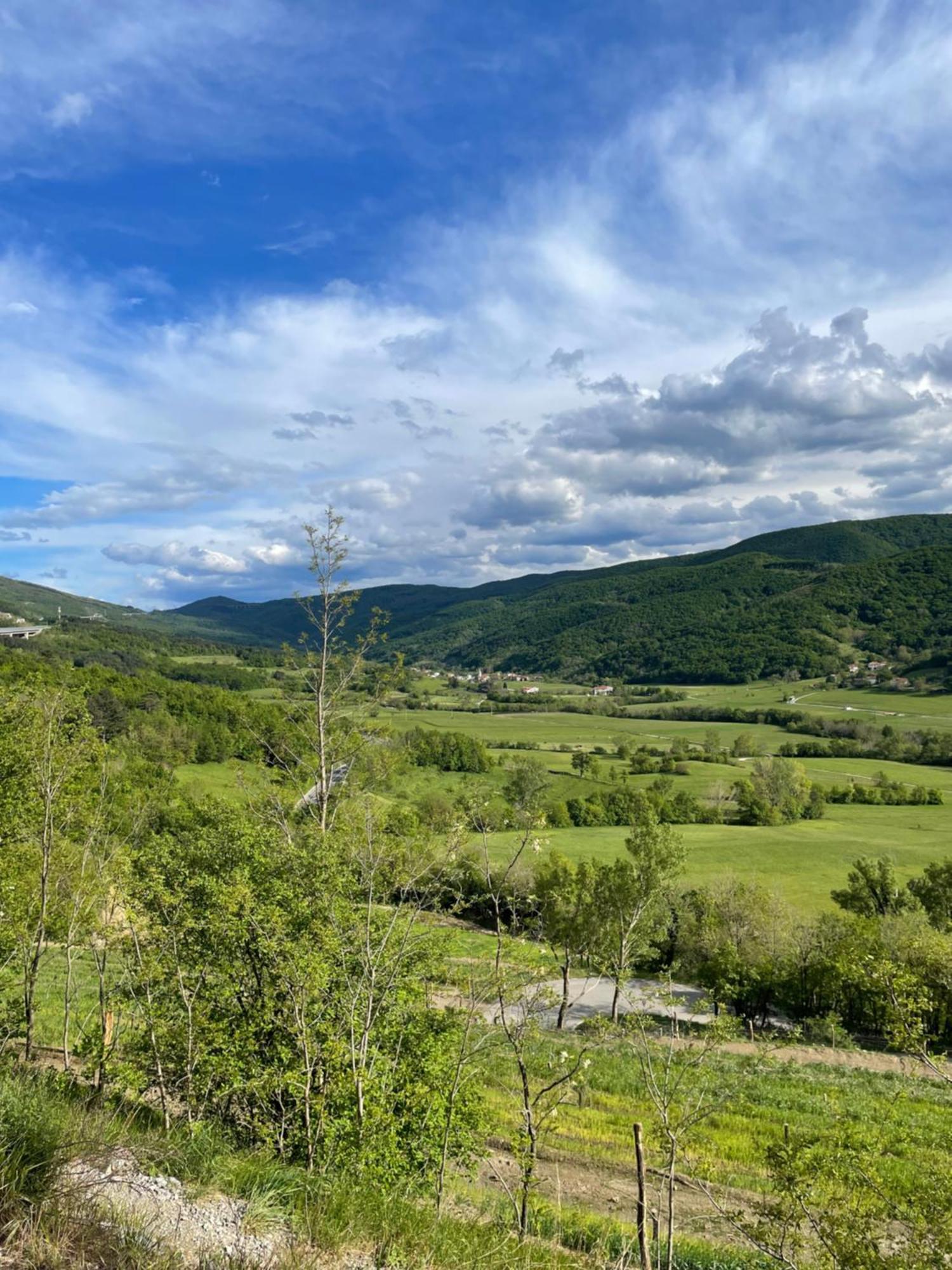Homestead - Domacija - Nabergoj Podnanos Luaran gambar